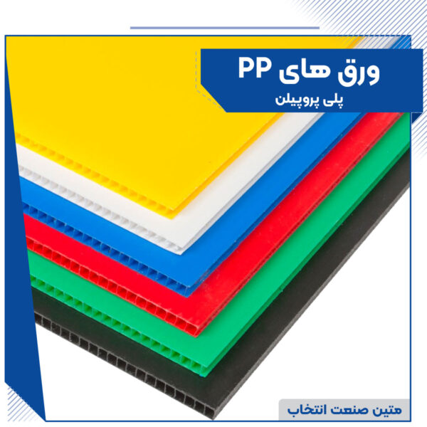 PP 600x600